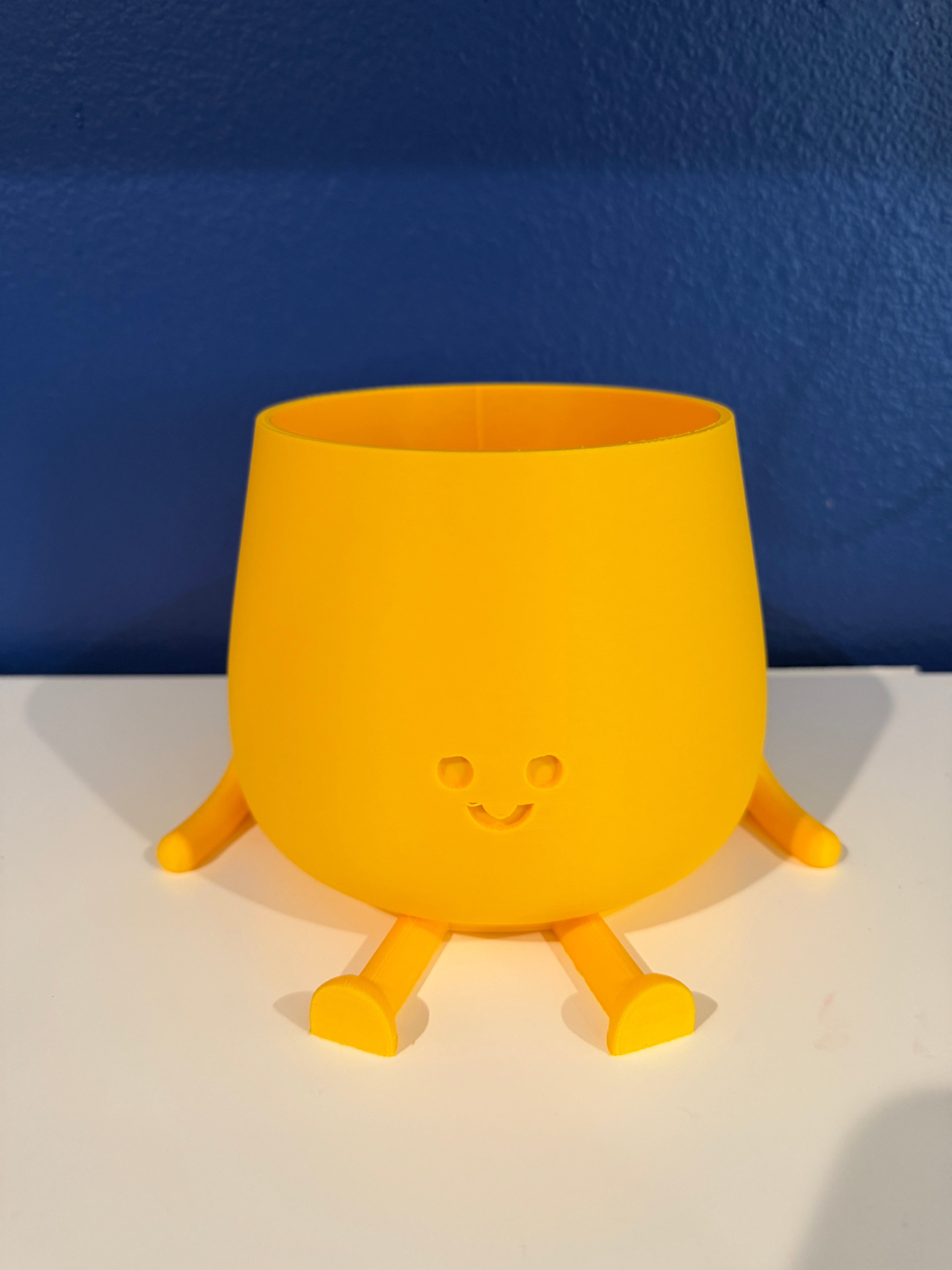 Happy Face Planter (Medium)