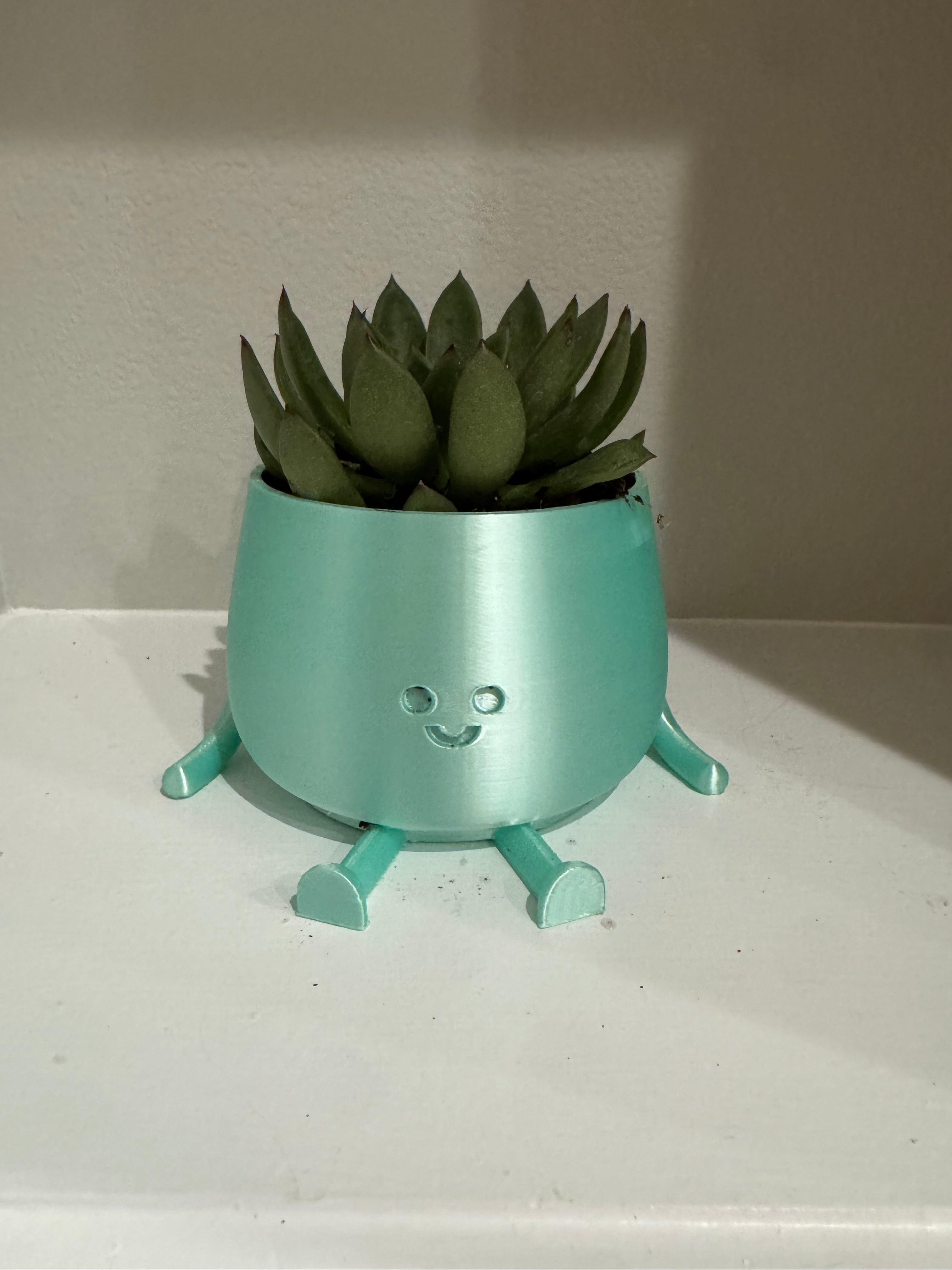 Happy Face Planter (Medium)