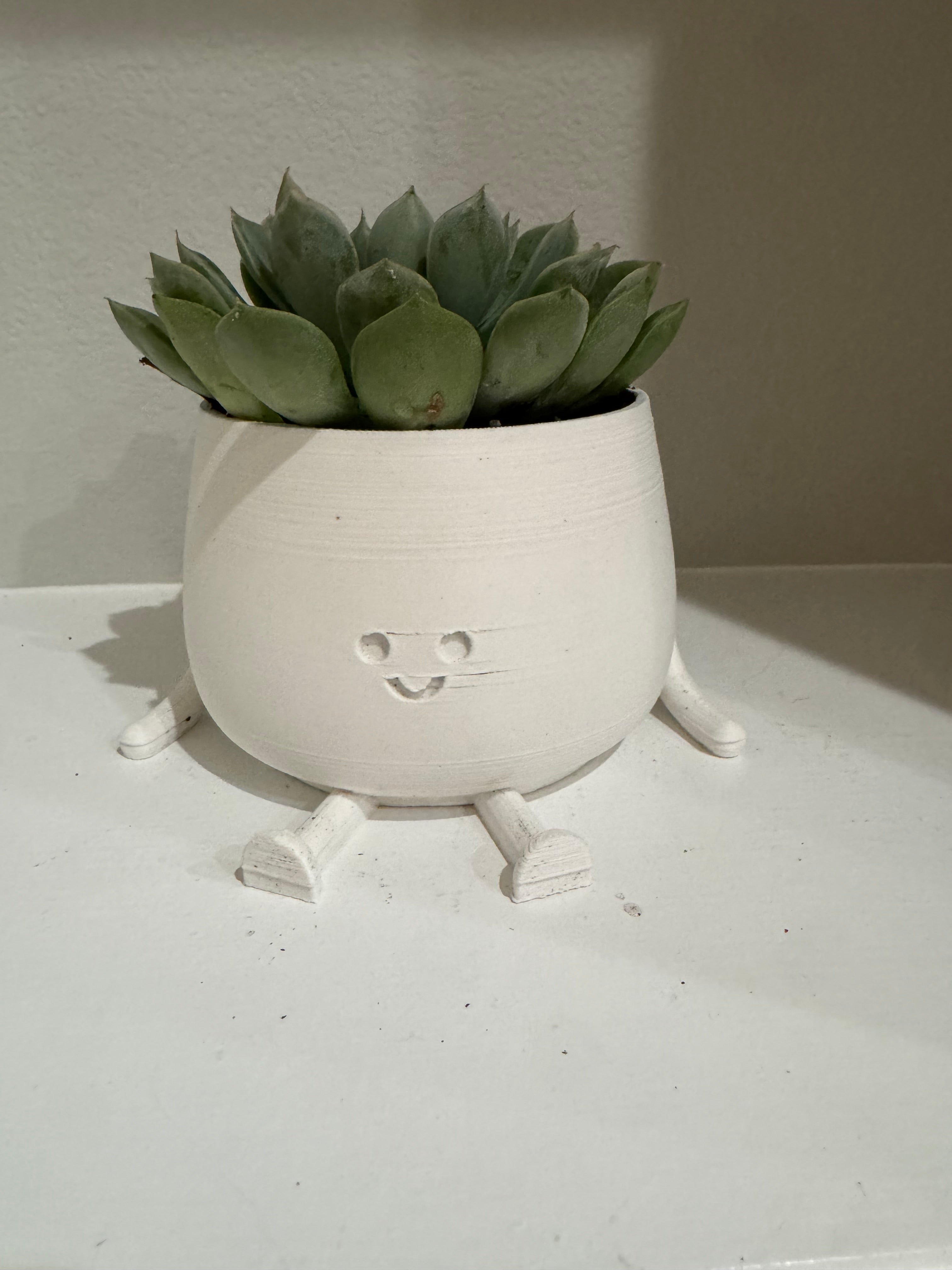 Happy Face Planter (Medium)